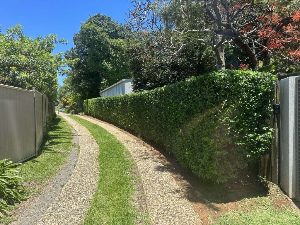Before overgrown hedge along driveway