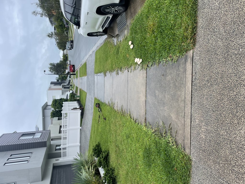 After nature strip and driveway edges trimmed neatly