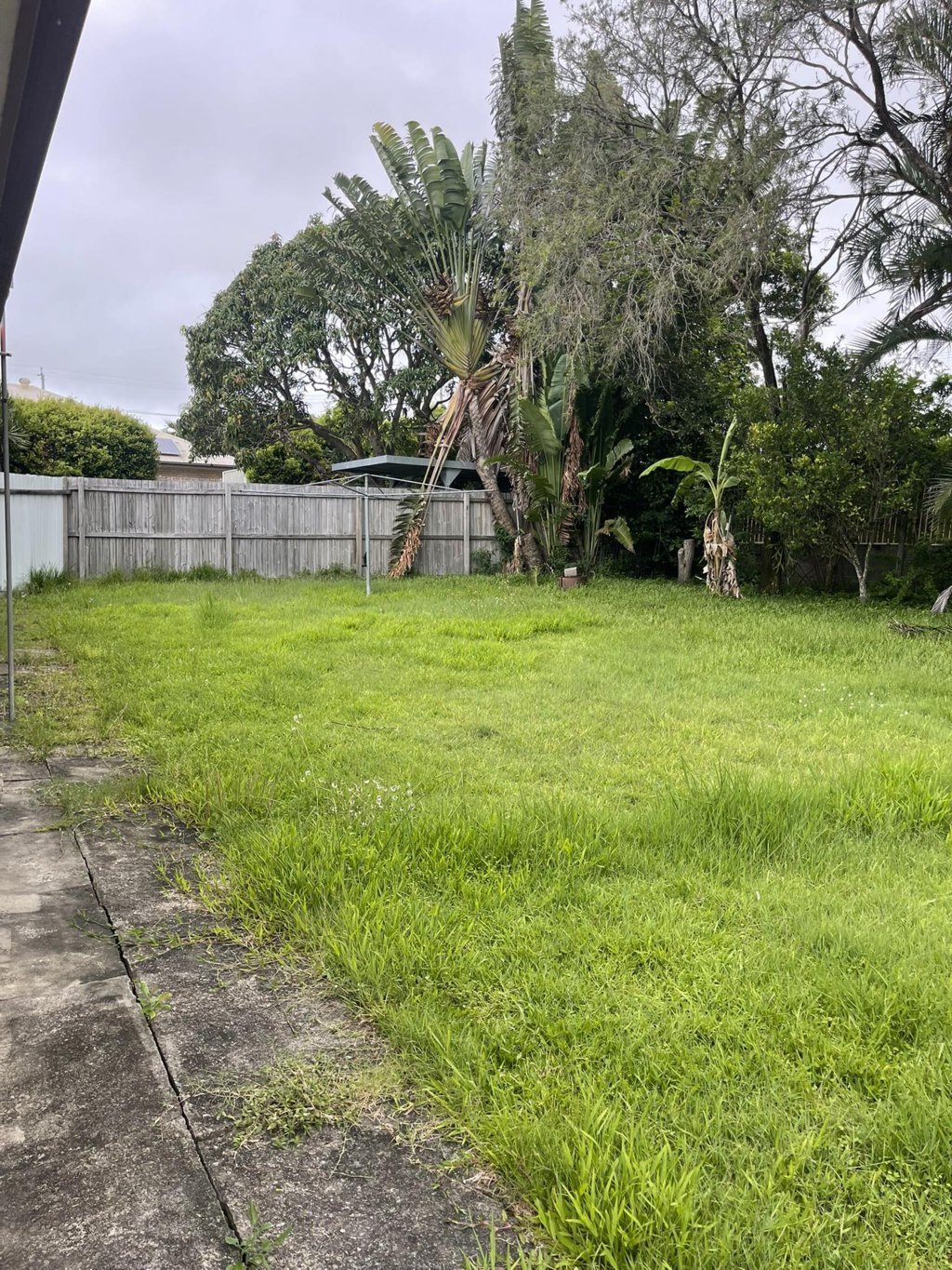 After open lawn freshly mowed with clean lines